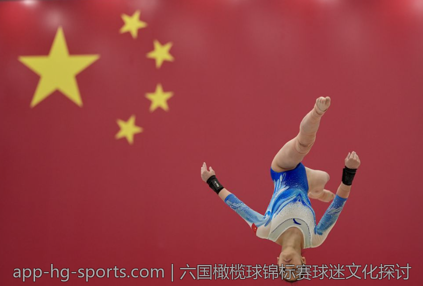 六国橄榄球锦标赛球迷文化探讨